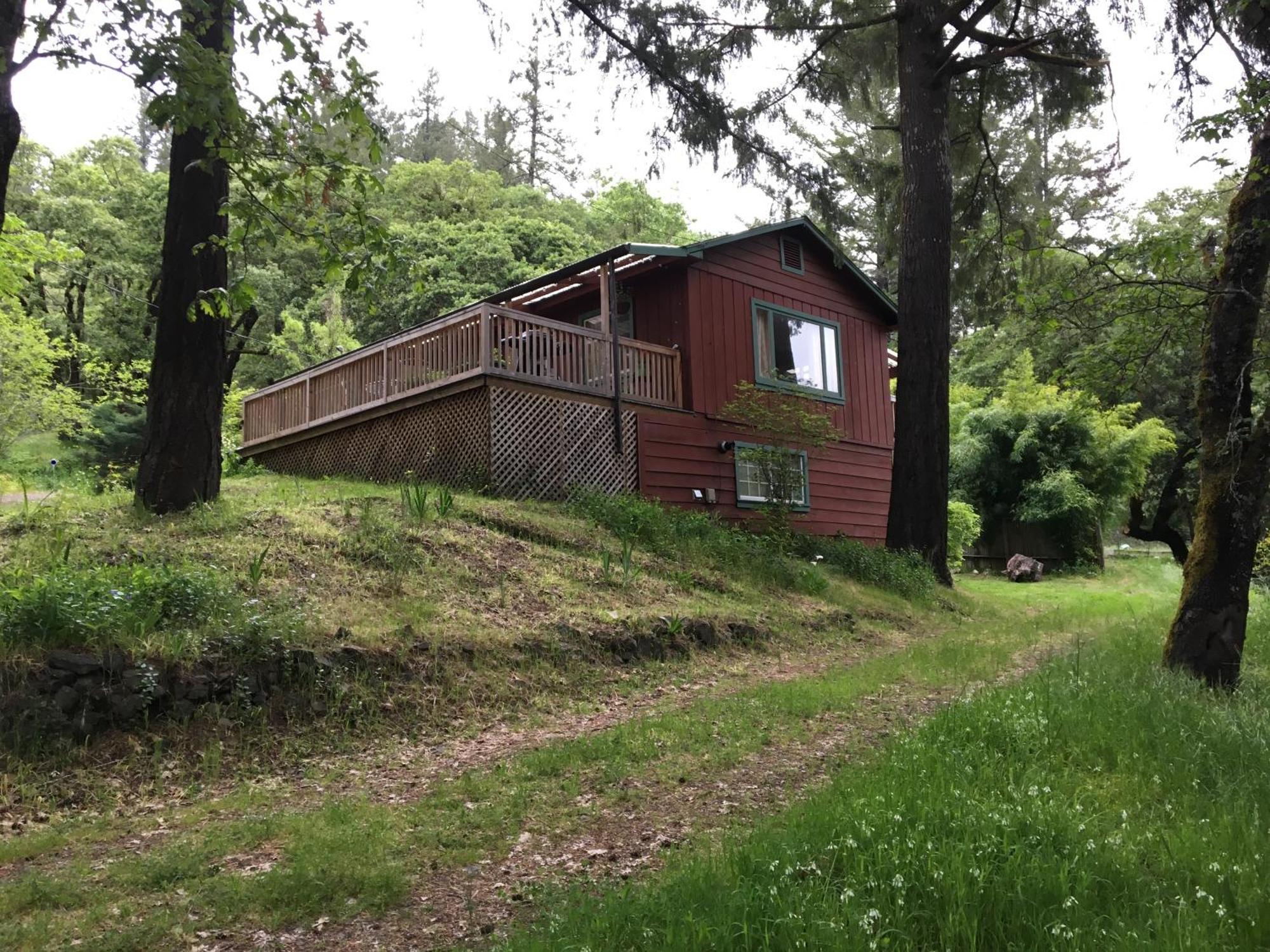 Avenue Of The Giants Caraway Cottage Miranda Exteriör bild