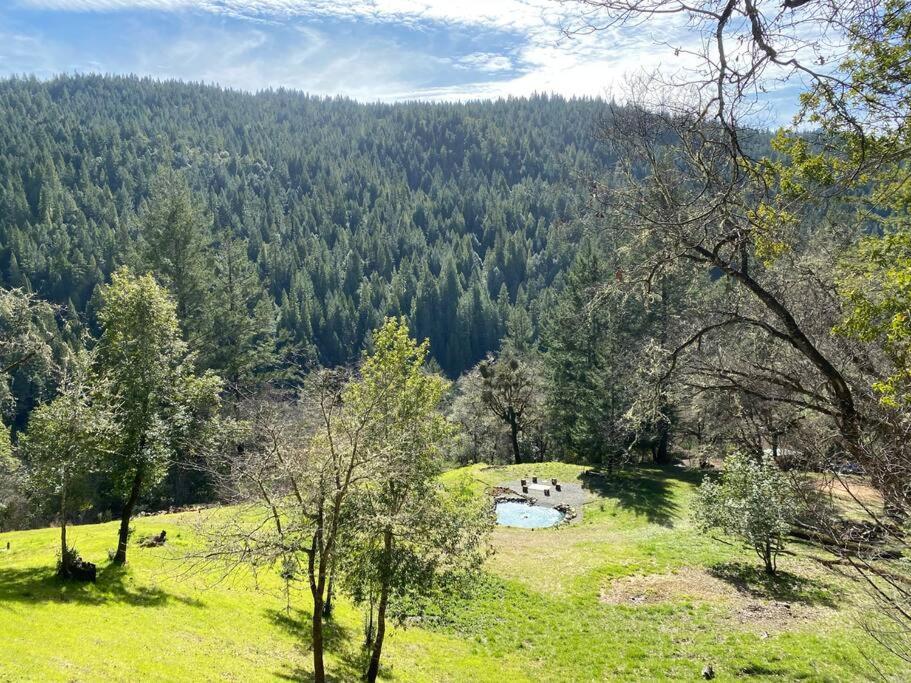 Avenue Of The Giants Caraway Cottage Miranda Exteriör bild