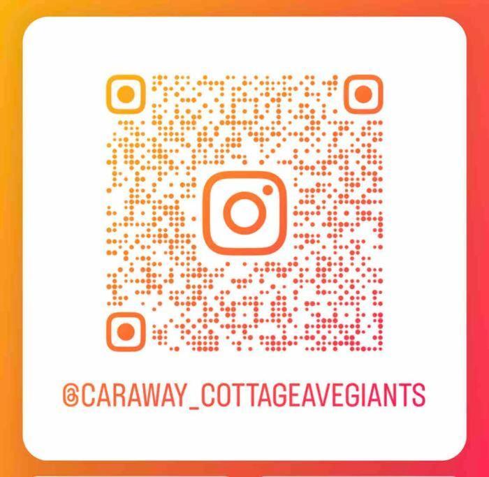 Avenue Of The Giants Caraway Cottage Miranda Exteriör bild
