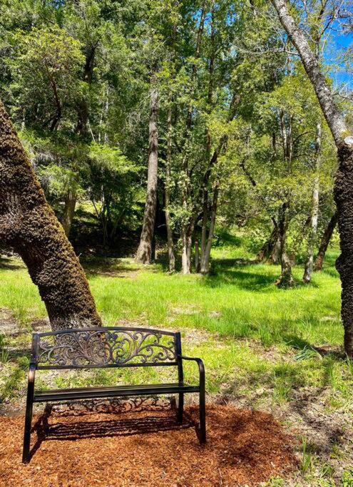 Avenue Of The Giants Caraway Cottage Miranda Exteriör bild