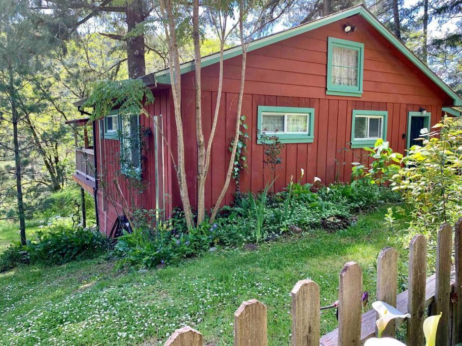 Avenue Of The Giants Caraway Cottage Miranda Exteriör bild