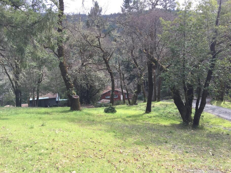 Avenue Of The Giants Caraway Cottage Miranda Exteriör bild
